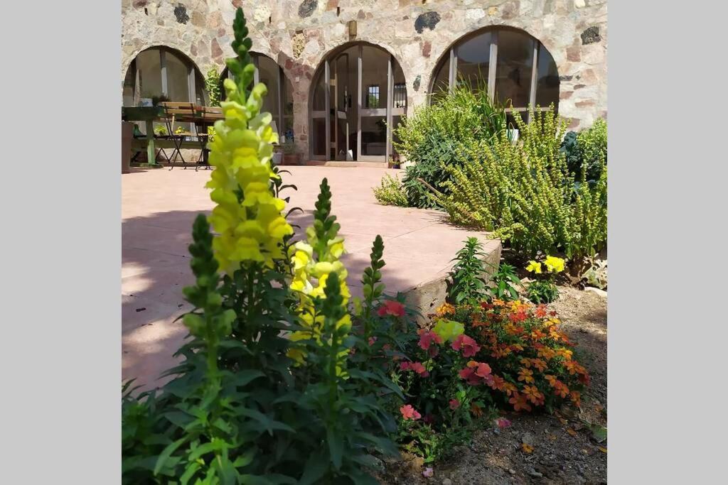 Eilat Stone - Patio אבן אילת - פטיו Lägenhet Exteriör bild