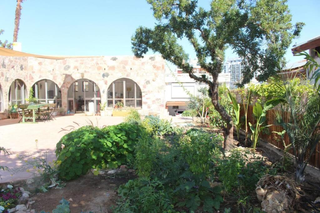 Eilat Stone - Patio אבן אילת - פטיו Lägenhet Exteriör bild